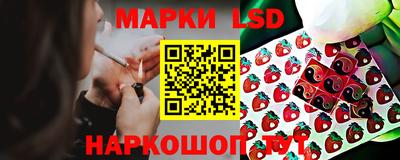 прущие грибы Бугуруслан