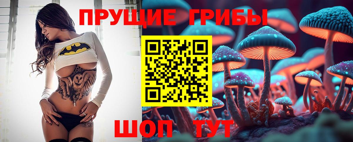Псилоцибиновые грибы GOLDEN TEACHER Куйбышев