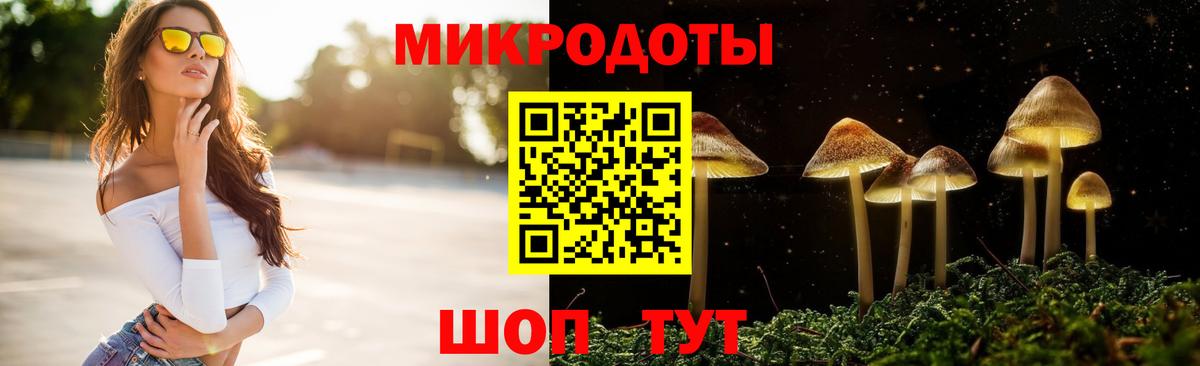 Куйбышев  Псилоцибиновые грибы GOLDEN TEACHER  Вход с VPN 
